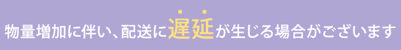 物量増加に伴うお荷物の遅延について