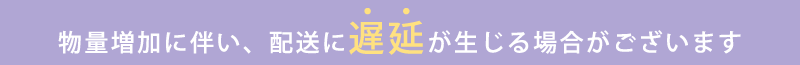 物量増加に伴うお荷物の遅延について