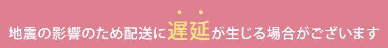 地震の影響によるお荷物の遅延について