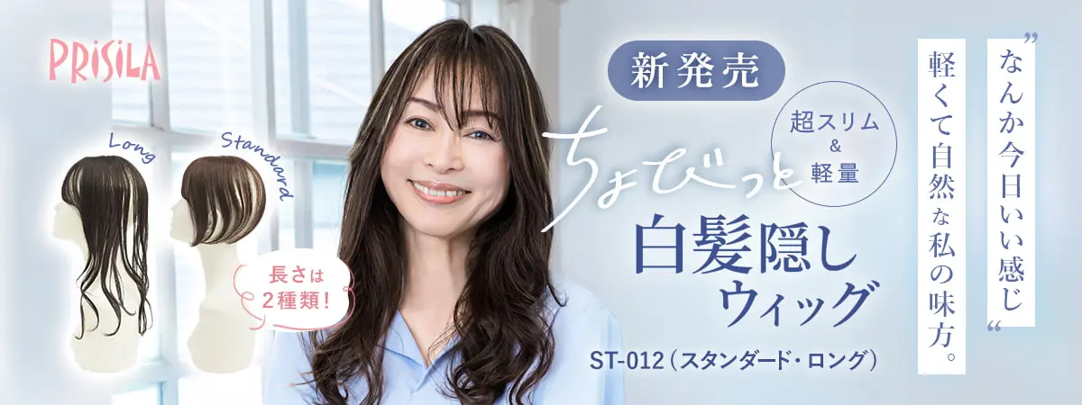 ちょびっと 白髪隠しウィッグ　超スリム軽量　ST-012　スタンダード　ロング