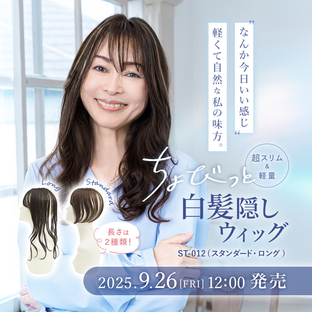 ST-012ちょびっと白髪隠しウィッグ（スタンダード・ロング）【9月26日販売開始】,プリシラ,PRISILA,メッシュ,パーツウィッグ