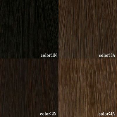 耐熱白髪かくしウィッグ(分け目タイプ) 品番【ST-005】 カラーチャート 1N：ブラック 2N：ナチュラルブラック 3A：ダークブラウン 4A：ブラウン
