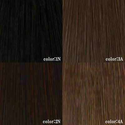 耐熱白髪かくしウィッグ(分け目タイプ) 品番【ST-005】 カラーチャート 1N：ブラック 2N：ナチュラルブラック 3A：ダークブラウン 4A：ブラウン