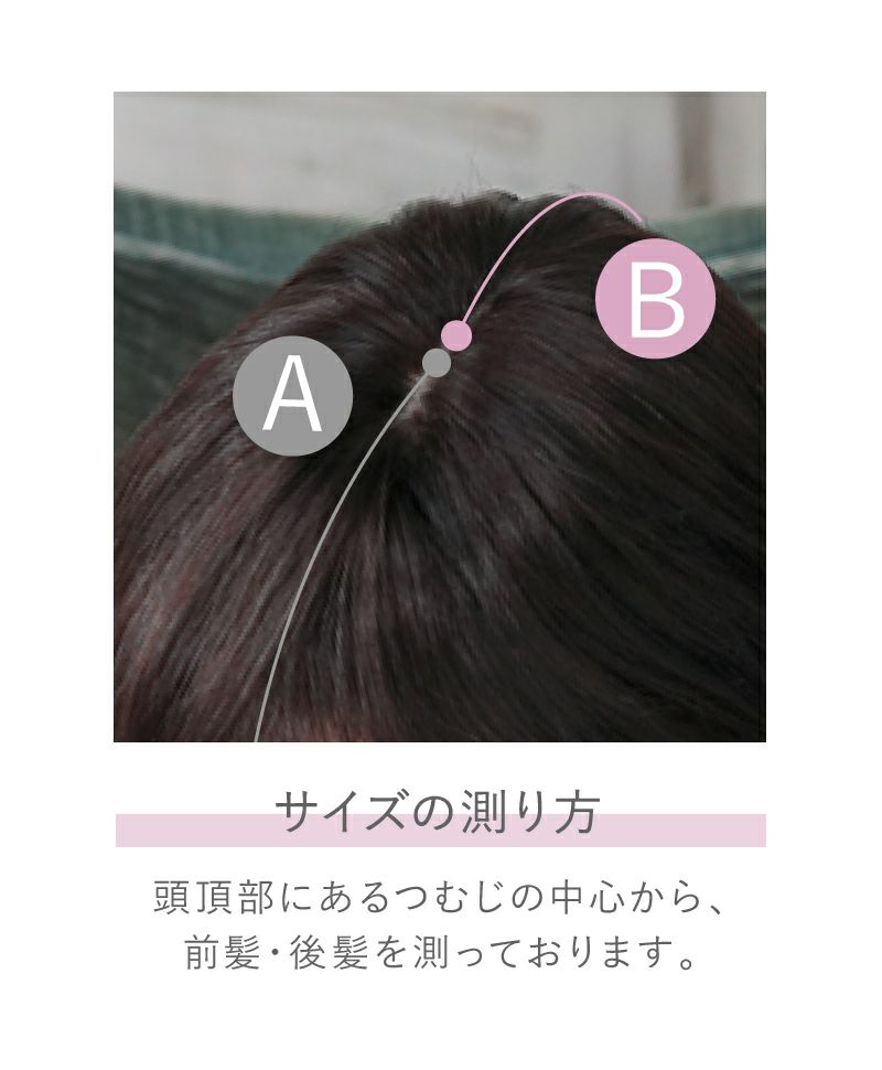 白髪隠しウィッグ(人毛100％)【分け目タイプ】ST-100 | ウィッグ