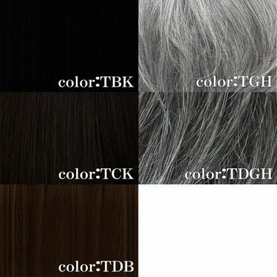 男性用五分ウィッグ【ミディアムショート】 品番GB-24耐熱 カラーチャート TBK：耐熱ブラック TCK：耐熱ショコラブラック TDB：耐熱ダークブラウン TGH：耐熱グレイヘア TDGH：耐熱ダークグレイヘア