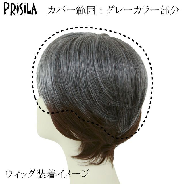 男性用五分ウィッグ【ミディアムショート】 品番GB-24耐熱 ウィッグ装着イメージ カバー範囲