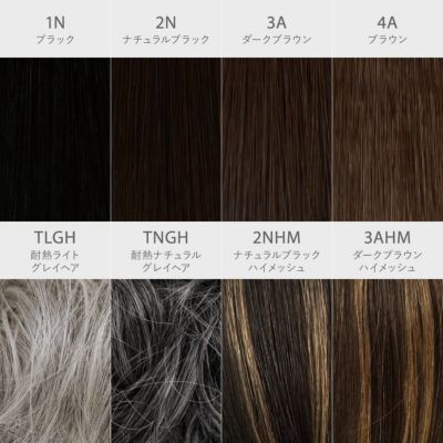 耐熱白髪かくしウィッグ(分け目タイプ) 品番【ST-005】 カラーチャート 1N：ブラック 2N：ナチュラルブラック 3A：ダークブラウン 4A：ブラウン