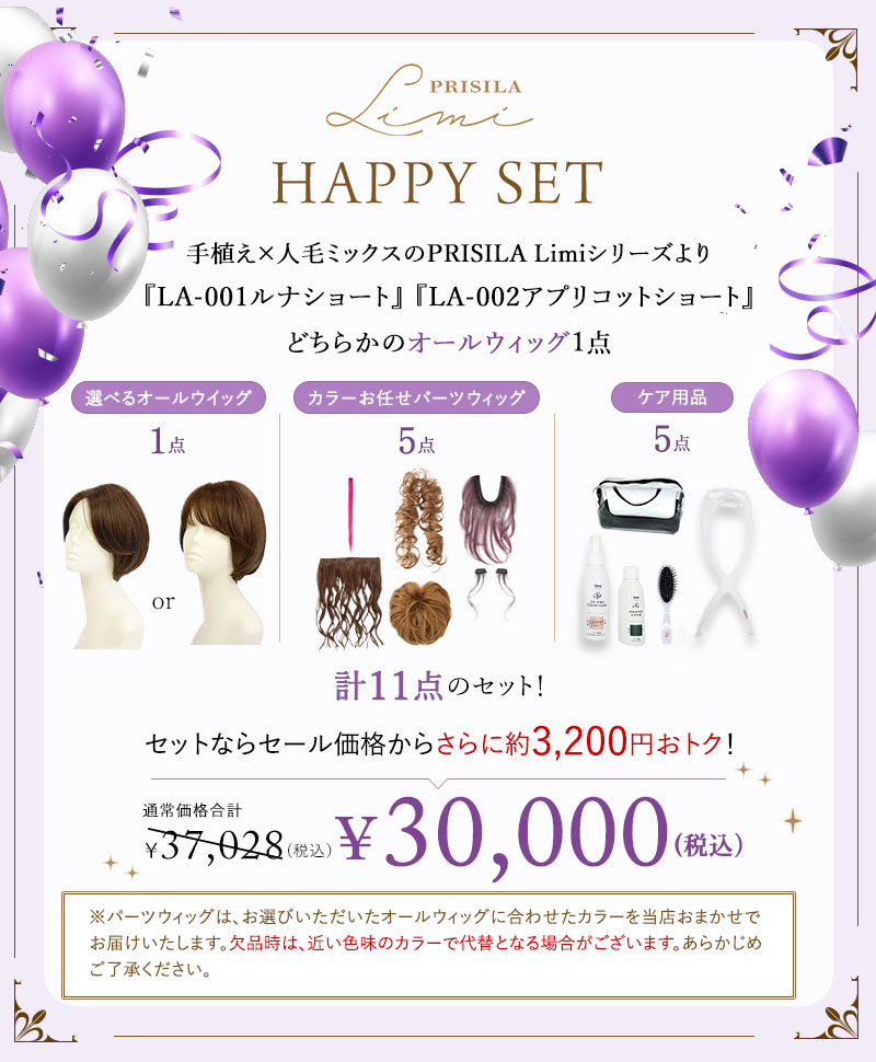 オールウィッグとケア商品（スタンド・ブラシ・オイルスプレー）が入ってお得に購入可能！