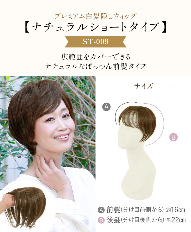 PRISILA創業33周年記念セット(冬Ver.)【オールウィッグA-684＆ケア用品】SET-02